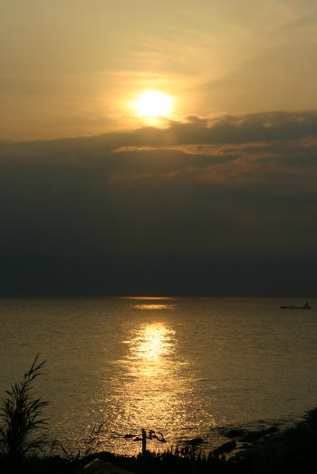 f0094843_1445537.jpg