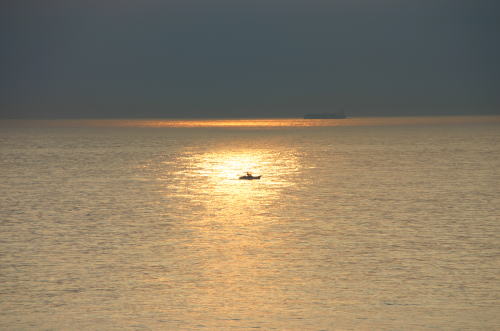 f0094843_1446294.jpg