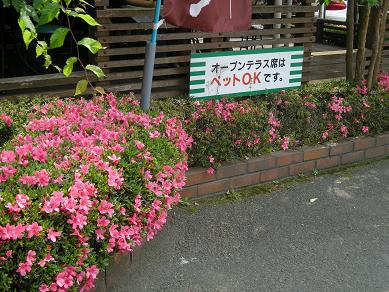 f0107145_22393773.jpg