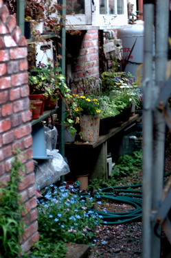 a0082146_027262.jpg