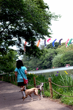 a0082146_2143612.jpg