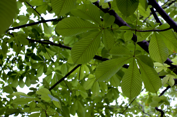 a0082146_216432.jpg