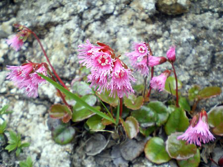 c0042847_9384787.jpg