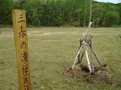 a0009750_11203741.jpg