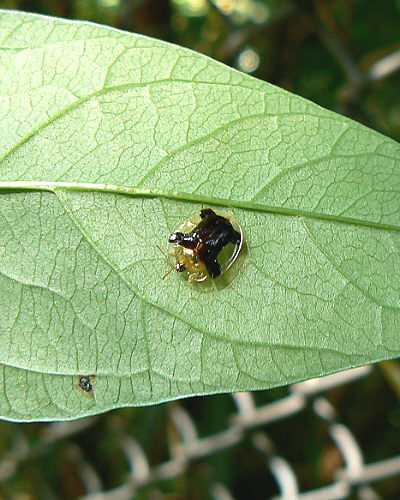 d0091754_20461658.jpg