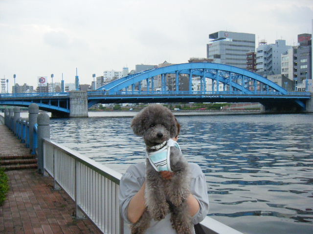 e0129656_21475216.jpg