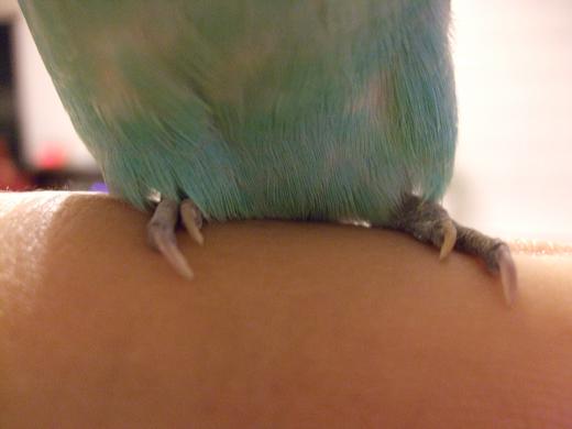 f0149057_2011793.jpg