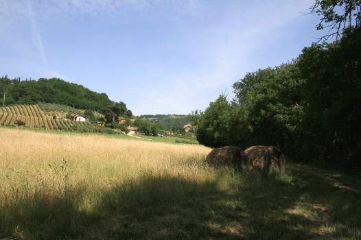 f0077159_0525777.jpg