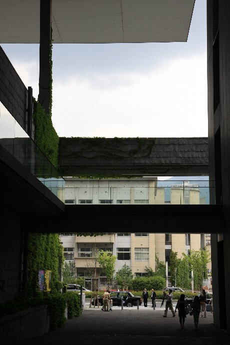 d0152960_2251367.jpg