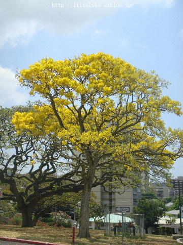 a0067962_4322179.jpg