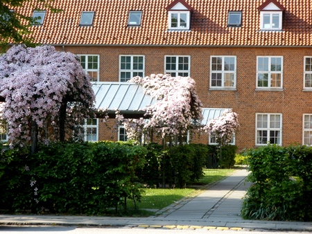 c0125662_10959.jpg