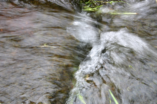 b0079965_8283291.jpg