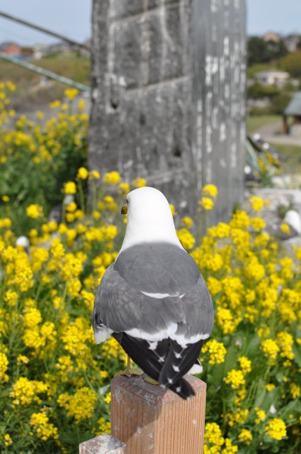 c0048667_22382867.jpg