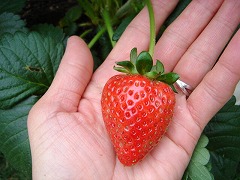 c0089769_10522137.jpg