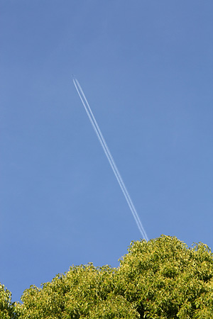 c0104371_10524779.jpg