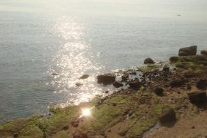 f0202071_155753100.jpg