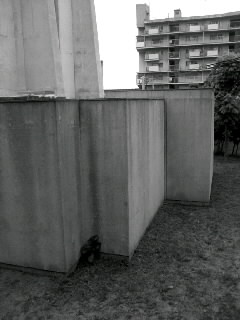 f0100480_22501612.jpg