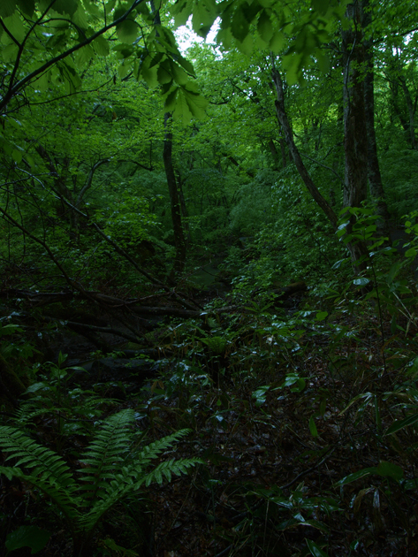 d0152981_21184677.jpg