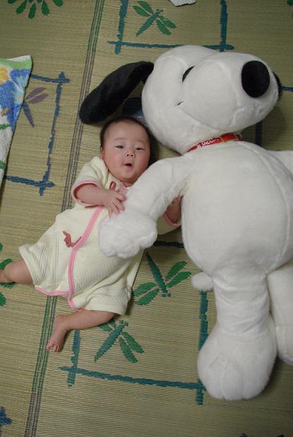 c0182782_2015461.jpg