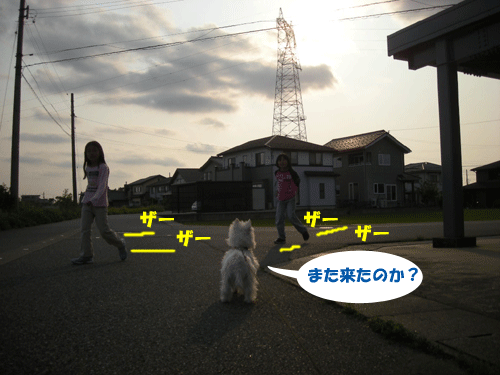 e0066883_23102183.gif