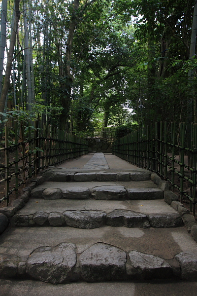 e0051888_7223639.jpg