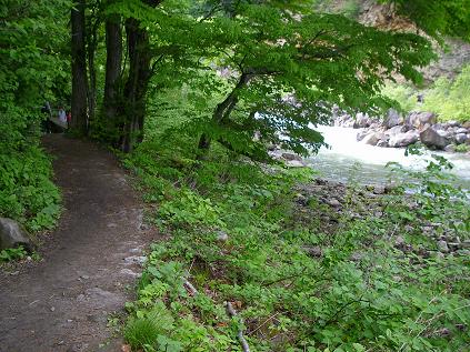 f0202990_2234866.jpg