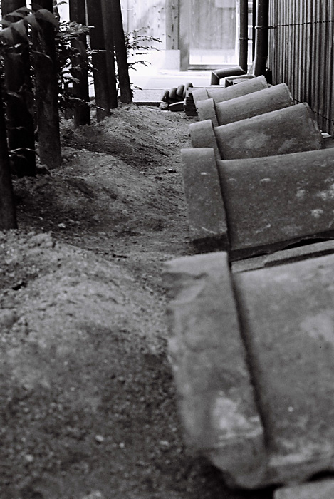 c0194591_1052365.jpg