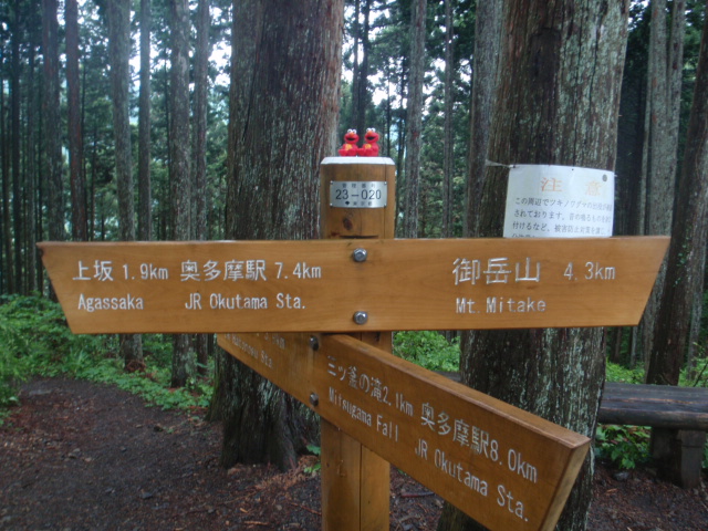 d0034291_12194919.jpg