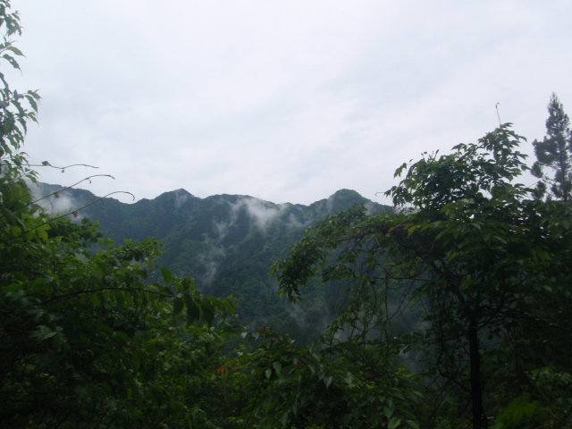 d0034291_1220167.jpg