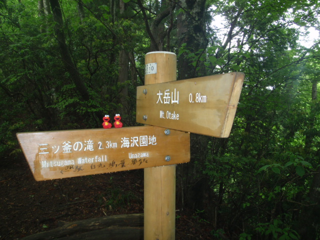d0034291_12223369.jpg