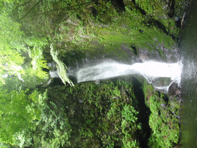 d0034291_1242448.jpg