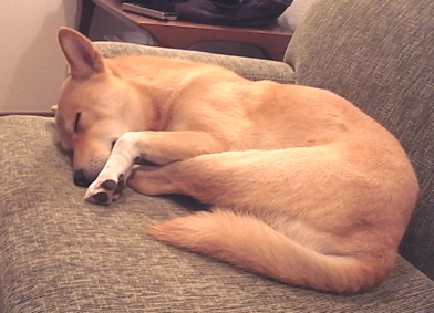 c0018092_12182773.jpg