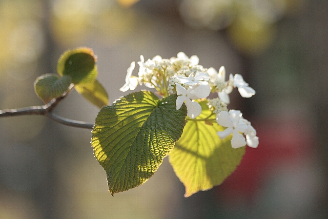 d0133693_12253514.jpg