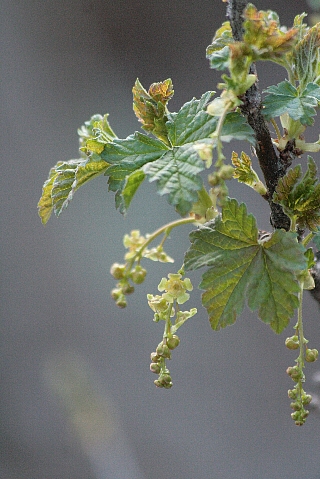 d0133693_12254253.jpg