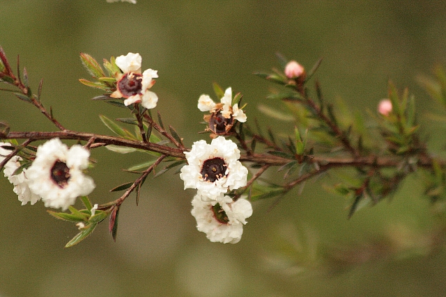 d0133693_12265939.jpg
