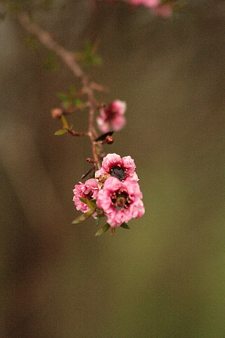 d0133693_12271647.jpg