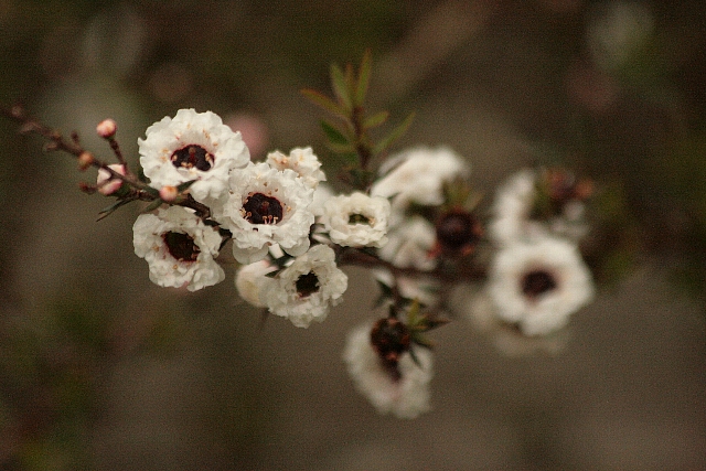 d0133693_1227730.jpg