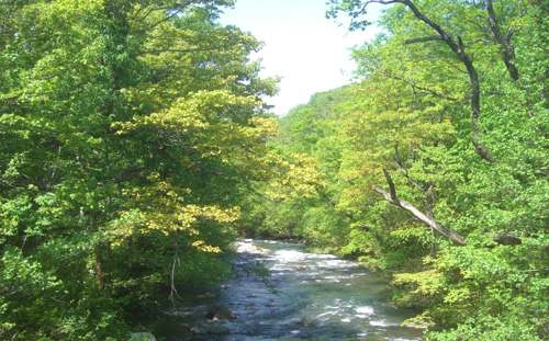 b0099994_12322320.jpg