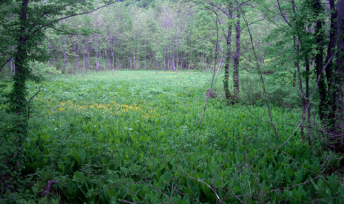 b0099994_12345086.jpg