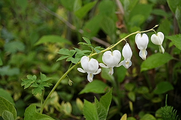 f0051194_12465161.jpg