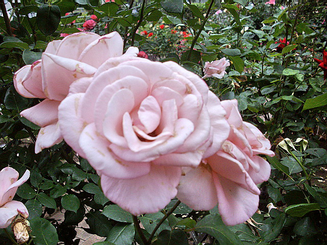 c0138198_21154562.jpg
