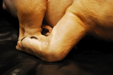 f0136098_1101672.jpg