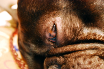 f0136098_1253054.jpg