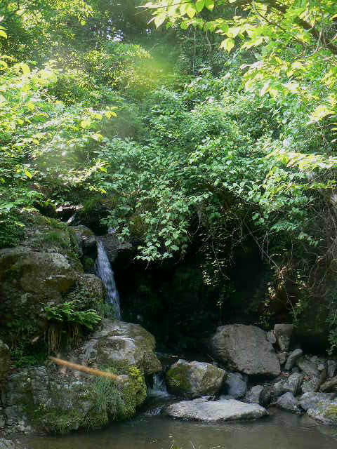f0164503_2041618.jpg