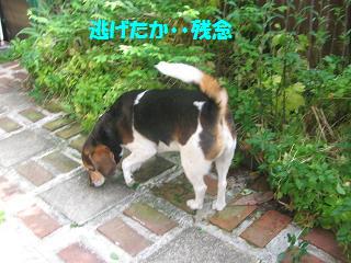 d0104209_21225428.jpg