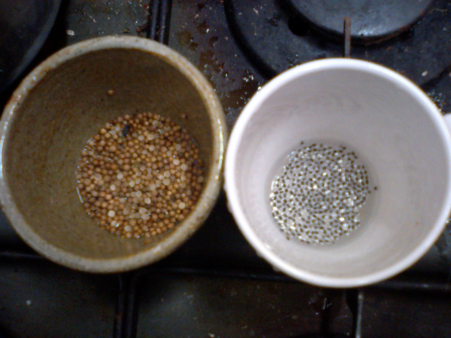 a0101715_2411383.jpg