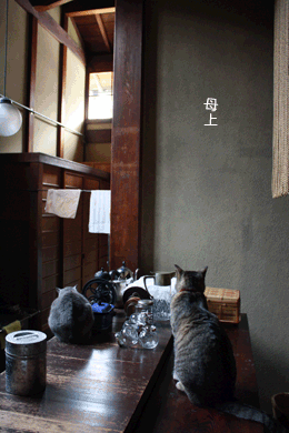 e0156015_2351571.gif
