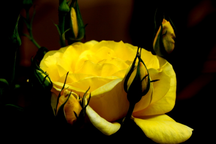 b0165522_17572861.jpg
