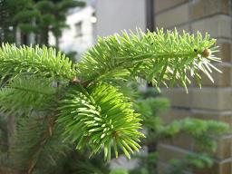 e0156222_16431039.jpg