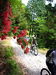 d0023725_1702265.jpg
